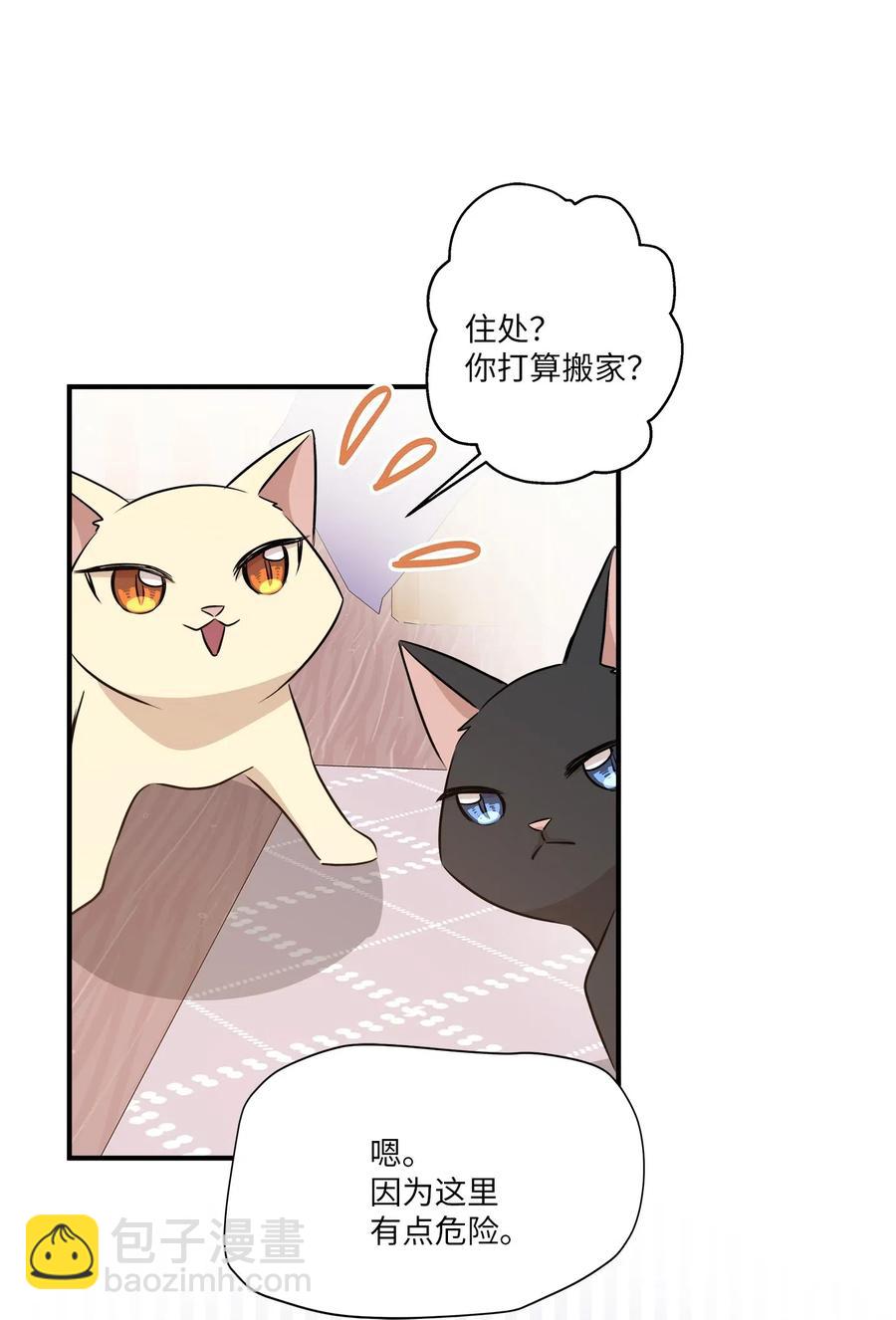 55 两只猫(1/2)-第55话