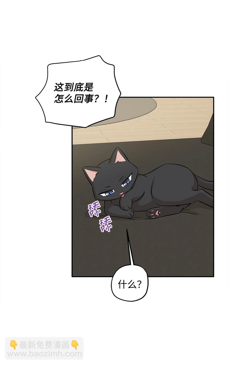 67 心动之夜(1/2)-第67话