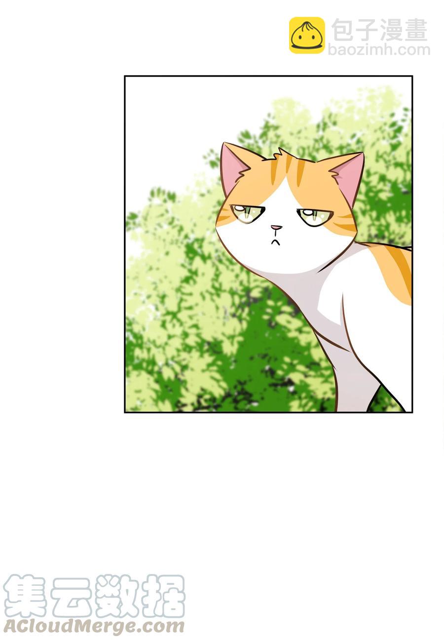 83 手术(1/2)-第83话