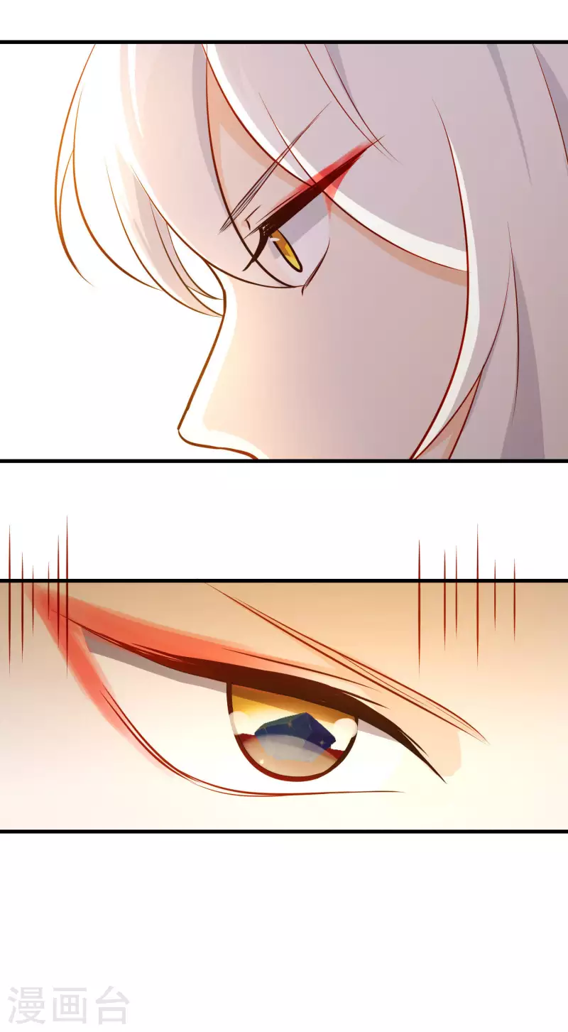 第17话 宝石美人-第17话