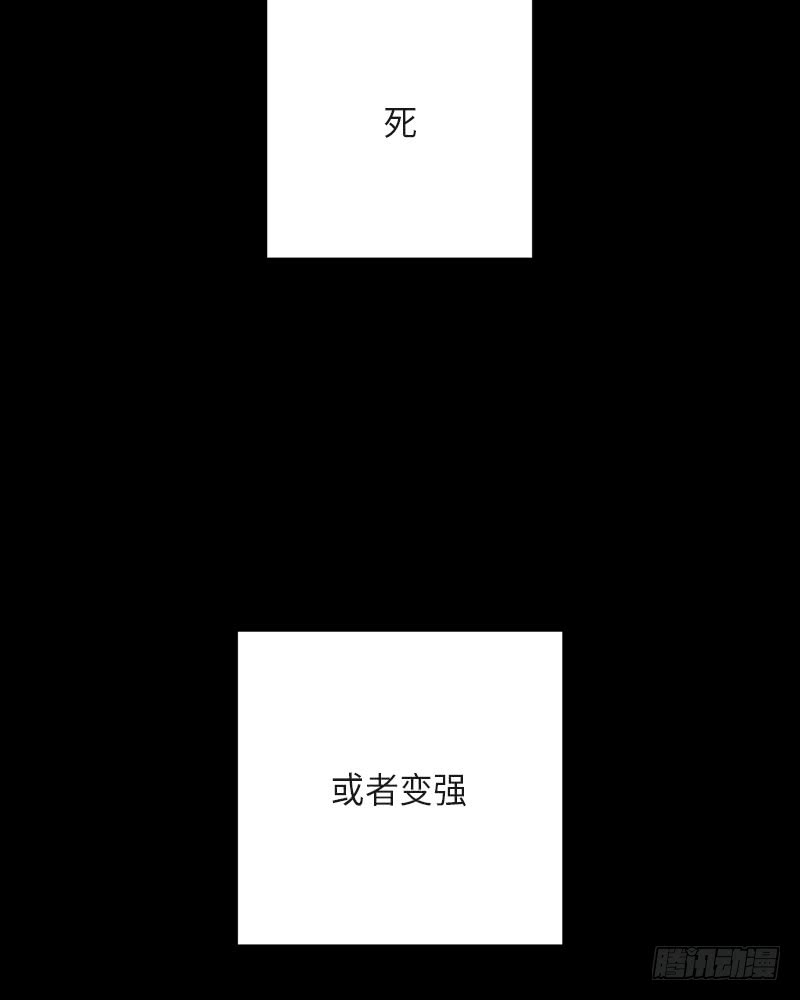 第37话(1/2)-第37话