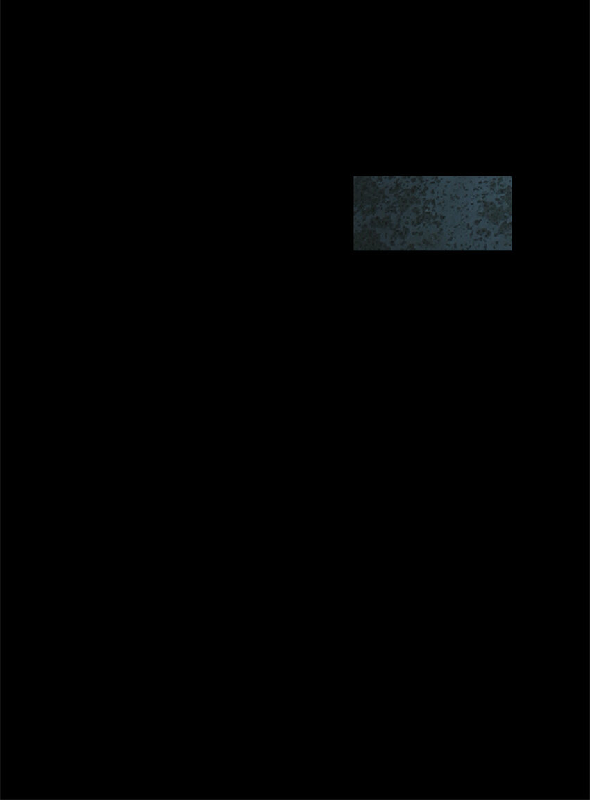 2 沦落为奴(1/2)-第3话