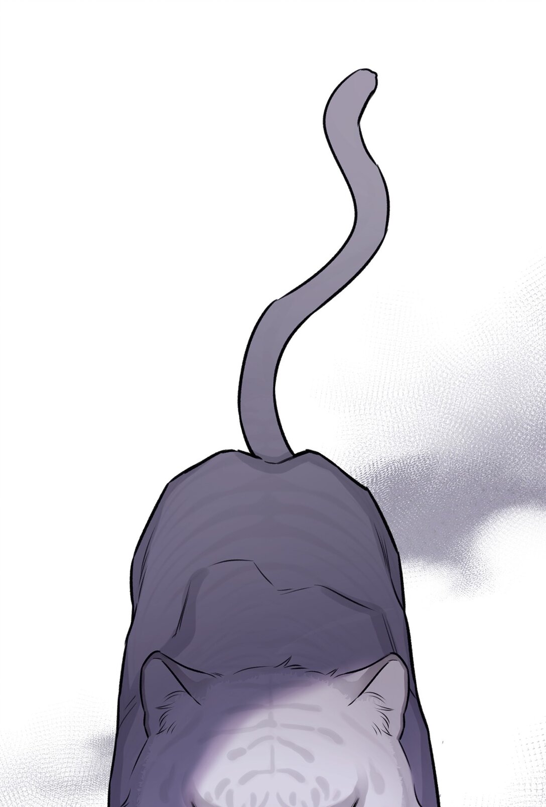 61 是小蝴蝶(1/2)-第61话