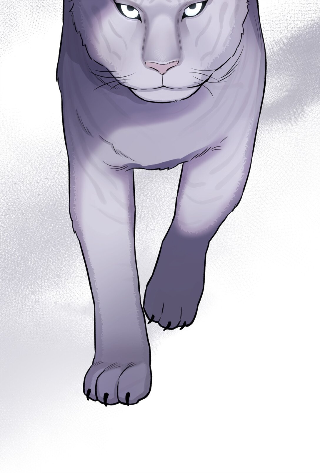 61 是小蝴蝶(1/2)-第61话