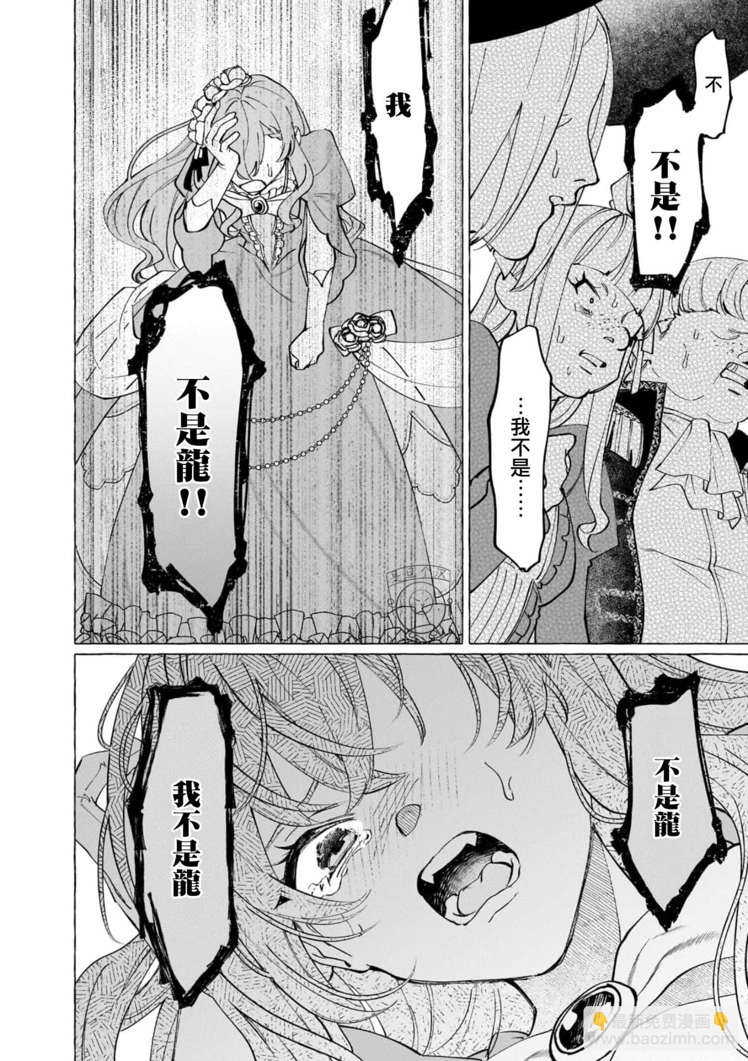 維茲雷因王國物語~龍者花嫁~ - 3 - 3