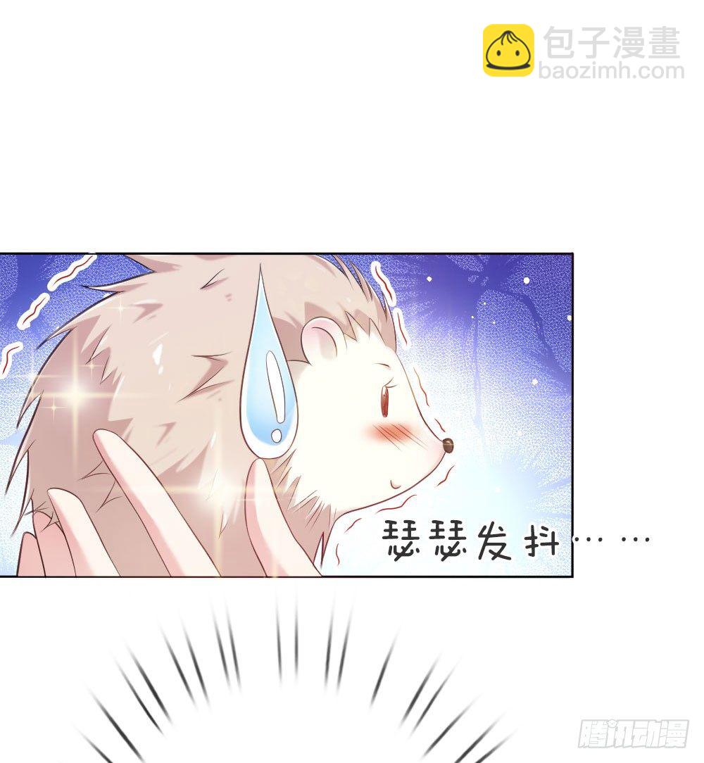 第5话 刺猬&mdash;本命护体-第5话