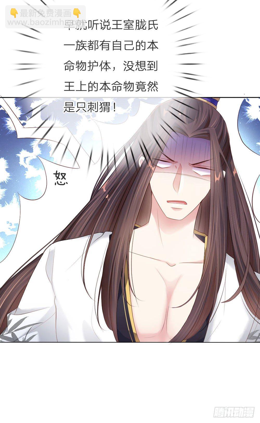 第5话 刺猬&mdash;本命护体-第5话