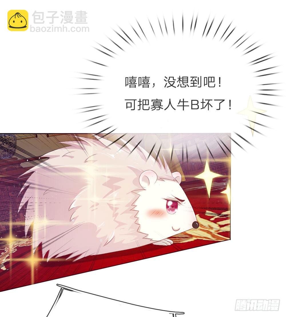 第5话 刺猬&mdash;本命护体-第5话