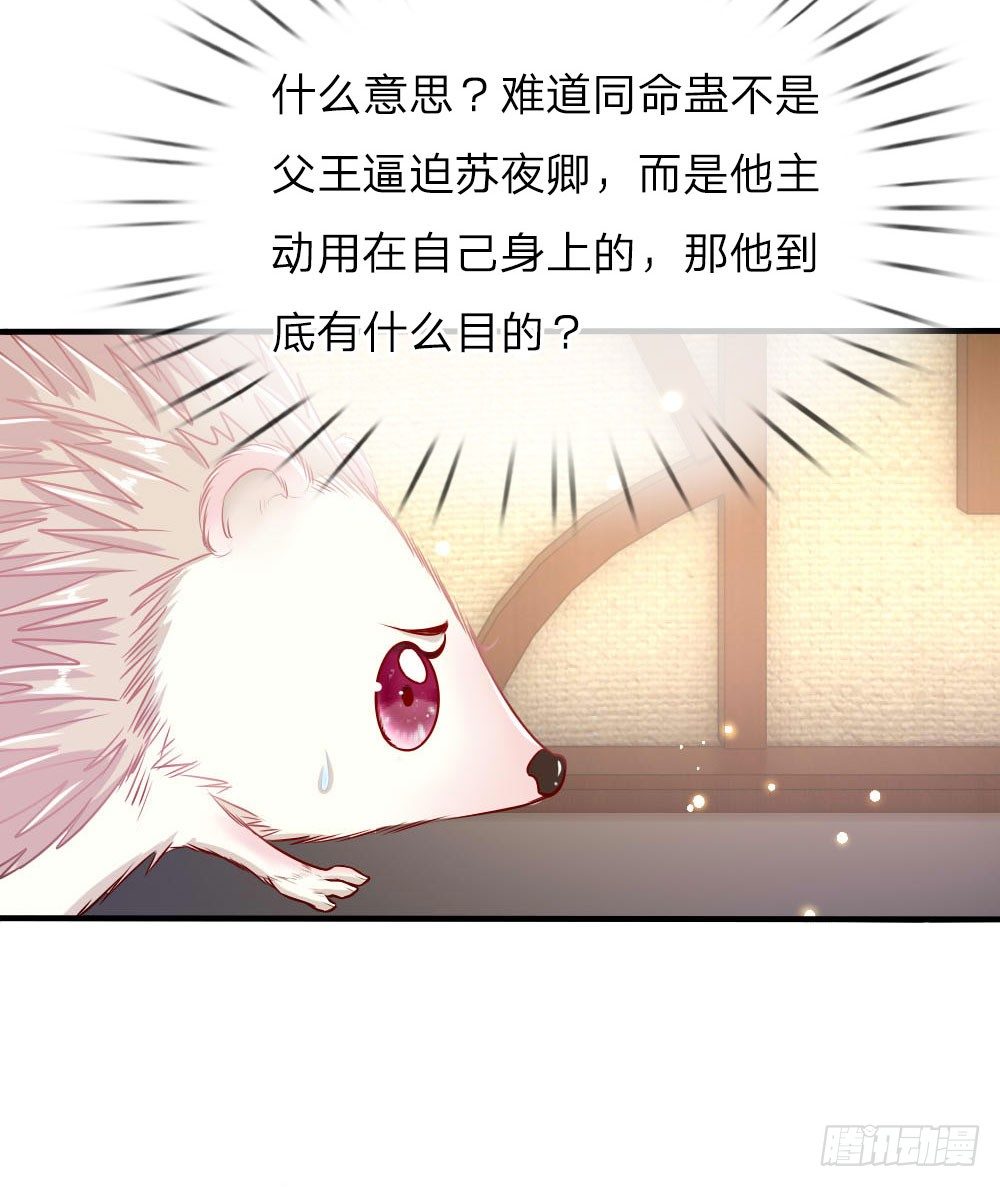 第42话 下半&ldquo;生&rdquo;的幸福-第43话