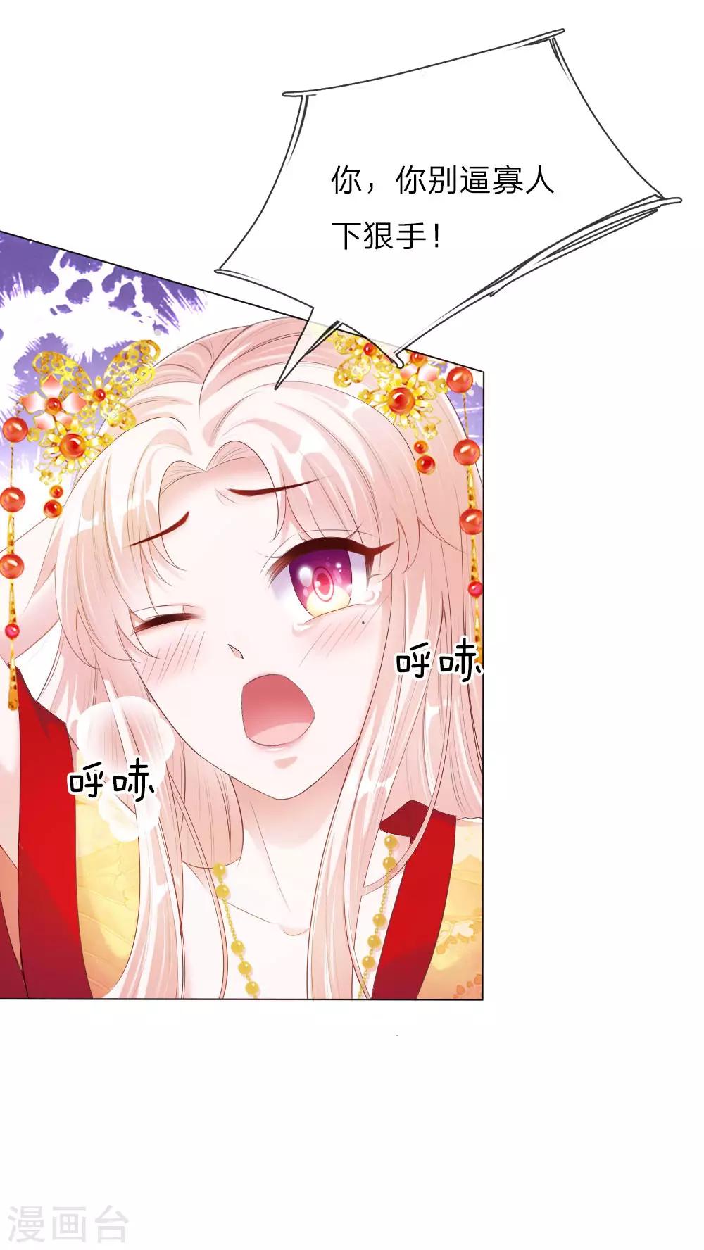 第5话 刺猬&mdash;本命护体-第5话