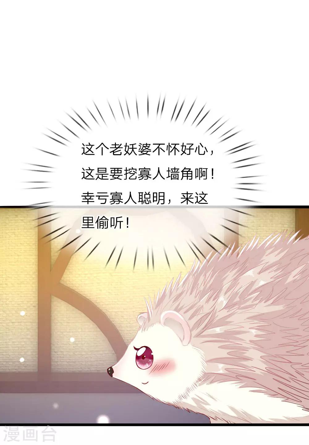 第42话 下半&ldquo;生&rdquo;的幸福-第43话