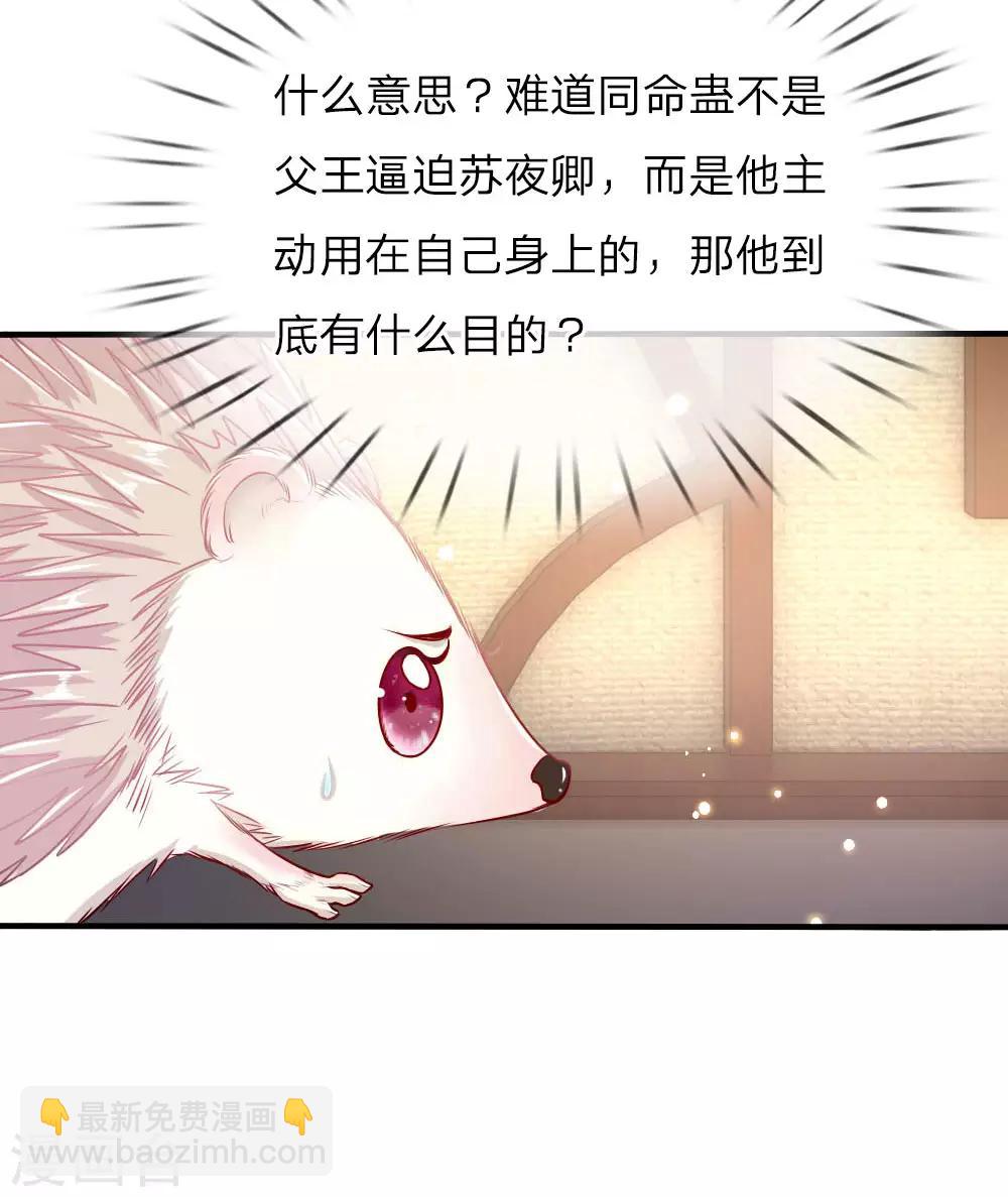 第42话 下半&ldquo;生&rdquo;的幸福-第43话