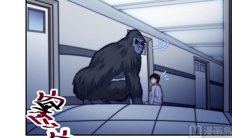 第39话 梦里的怪兽(1/2)-第41话