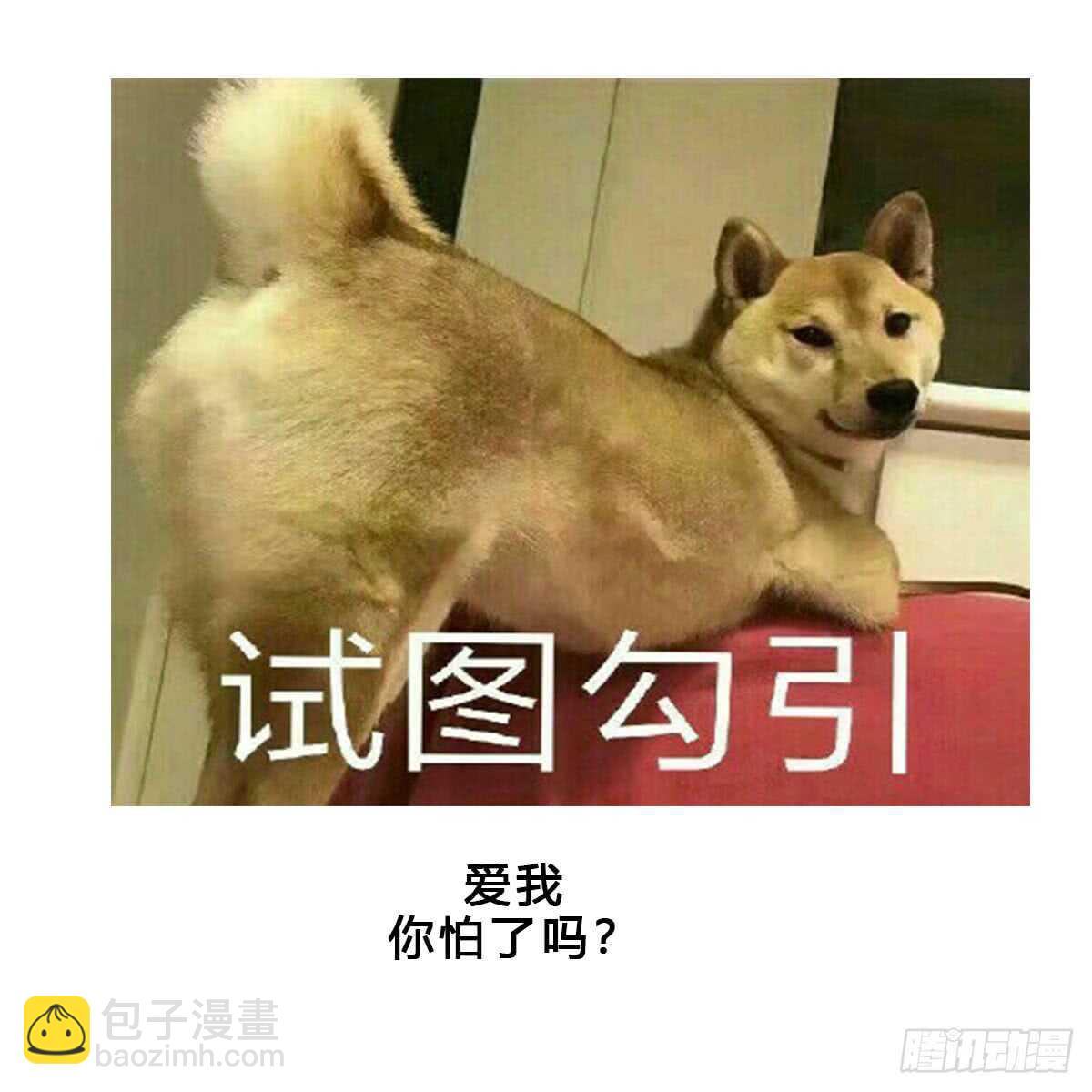 紋陰師 - 第113話 無辜狗兒(1/2) - 7