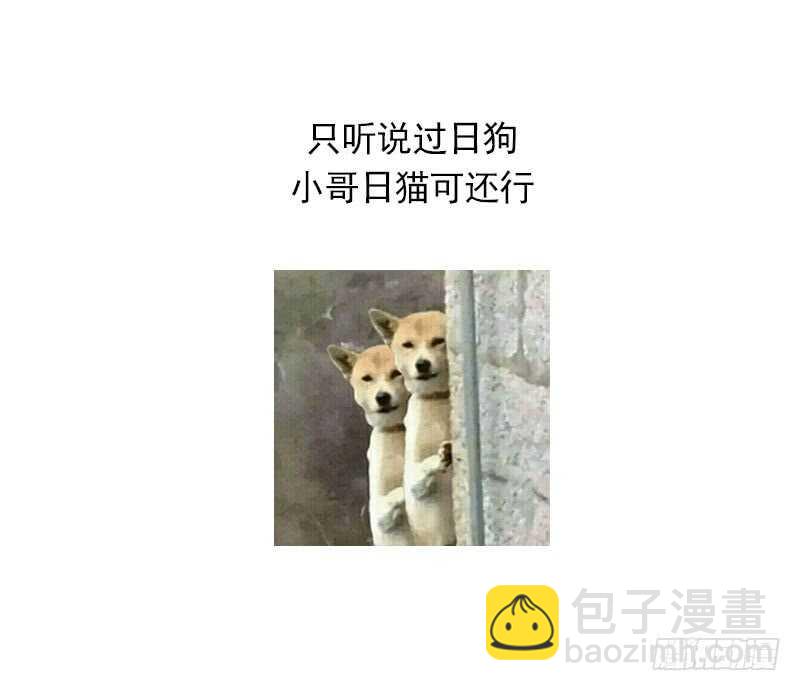 紋陰師 - 第31話 聽說你日貓了(2/2) - 3