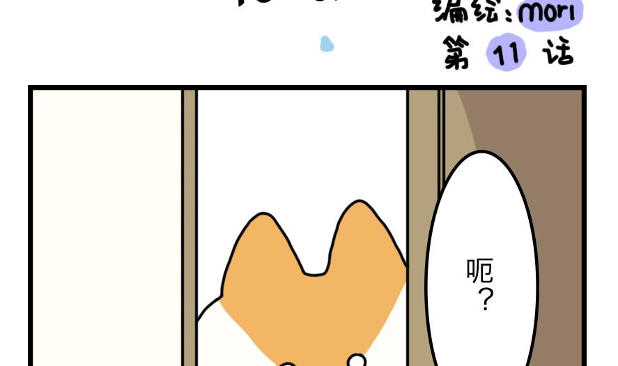 第11话 秘密揭晓&hellip;&hellip;？！-第11话