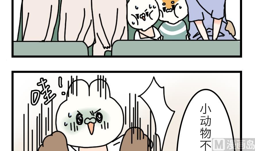 第19话 夏天与不切实际的爱情 下-第19话