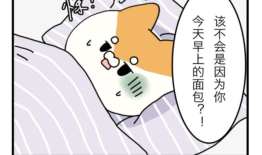 第21话 轮流生病的两只-第21话