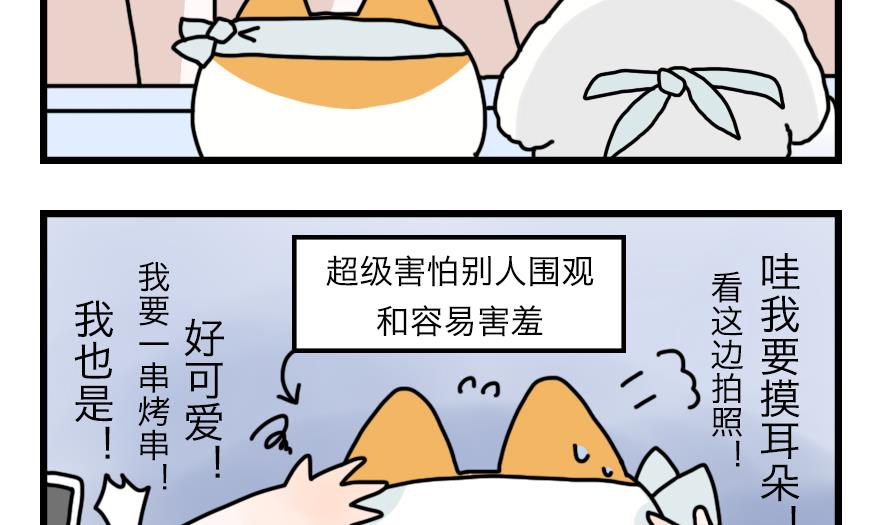 第23话 为了海岛游！ 上-第23话