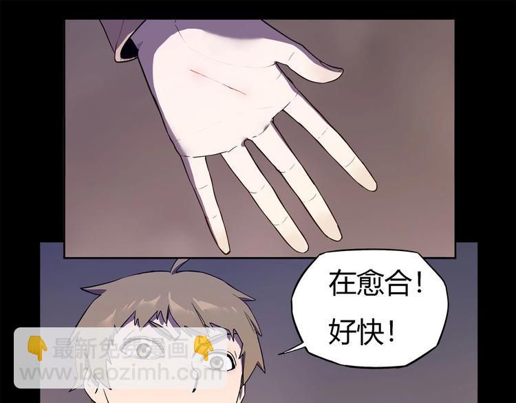 第17话  蘑菇火焰(1/2)-第19话