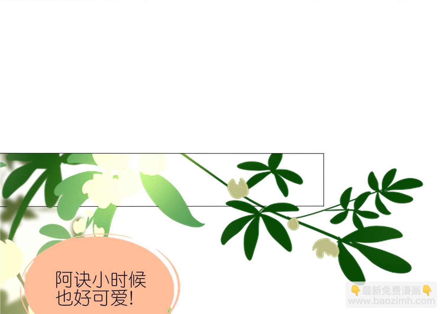 第417话(1/2)-第417话