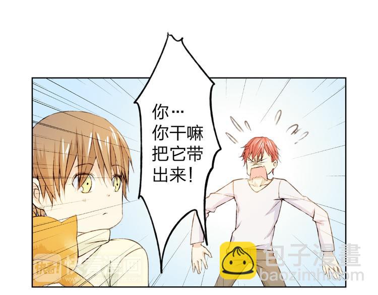 第12话 给我卖个萌(1/3)-第13话