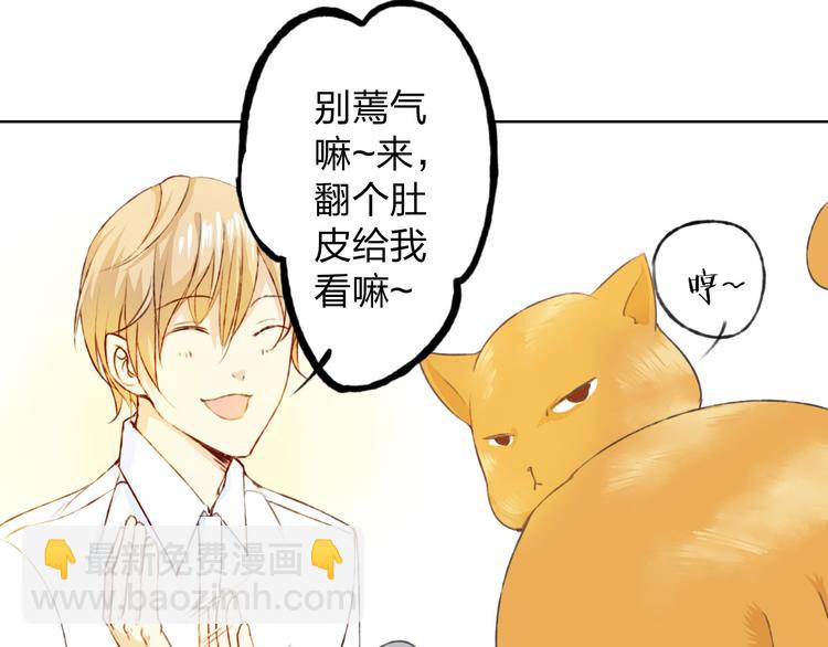 第12话 给我卖个萌(1/3)-第13话