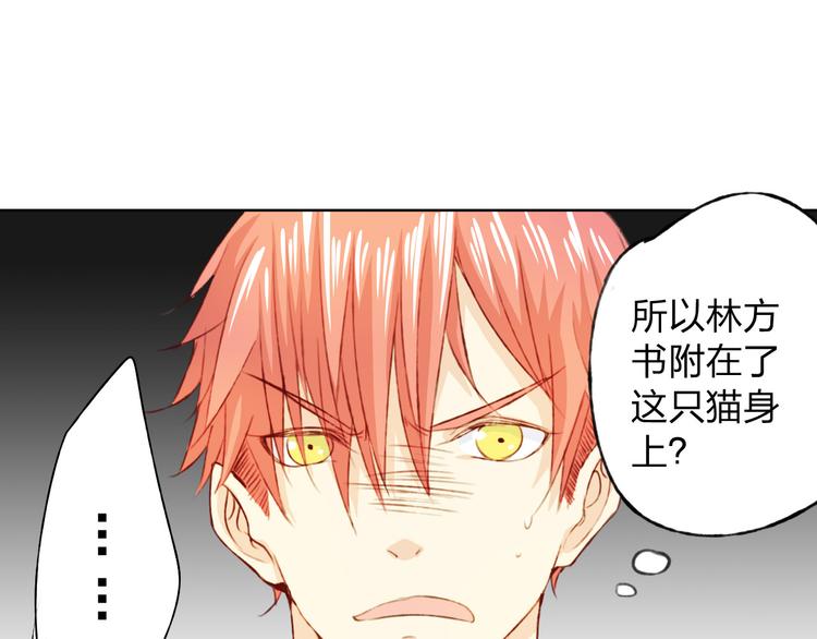 第12话 给我卖个萌(1/3)-第13话