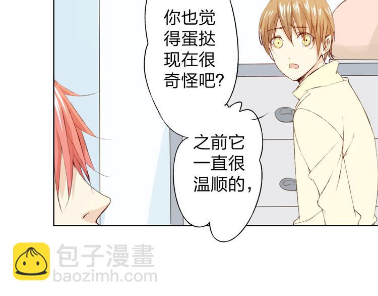 第12话 给我卖个萌(1/3)-第13话