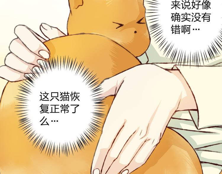 第12话 给我卖个萌(1/3)-第13话