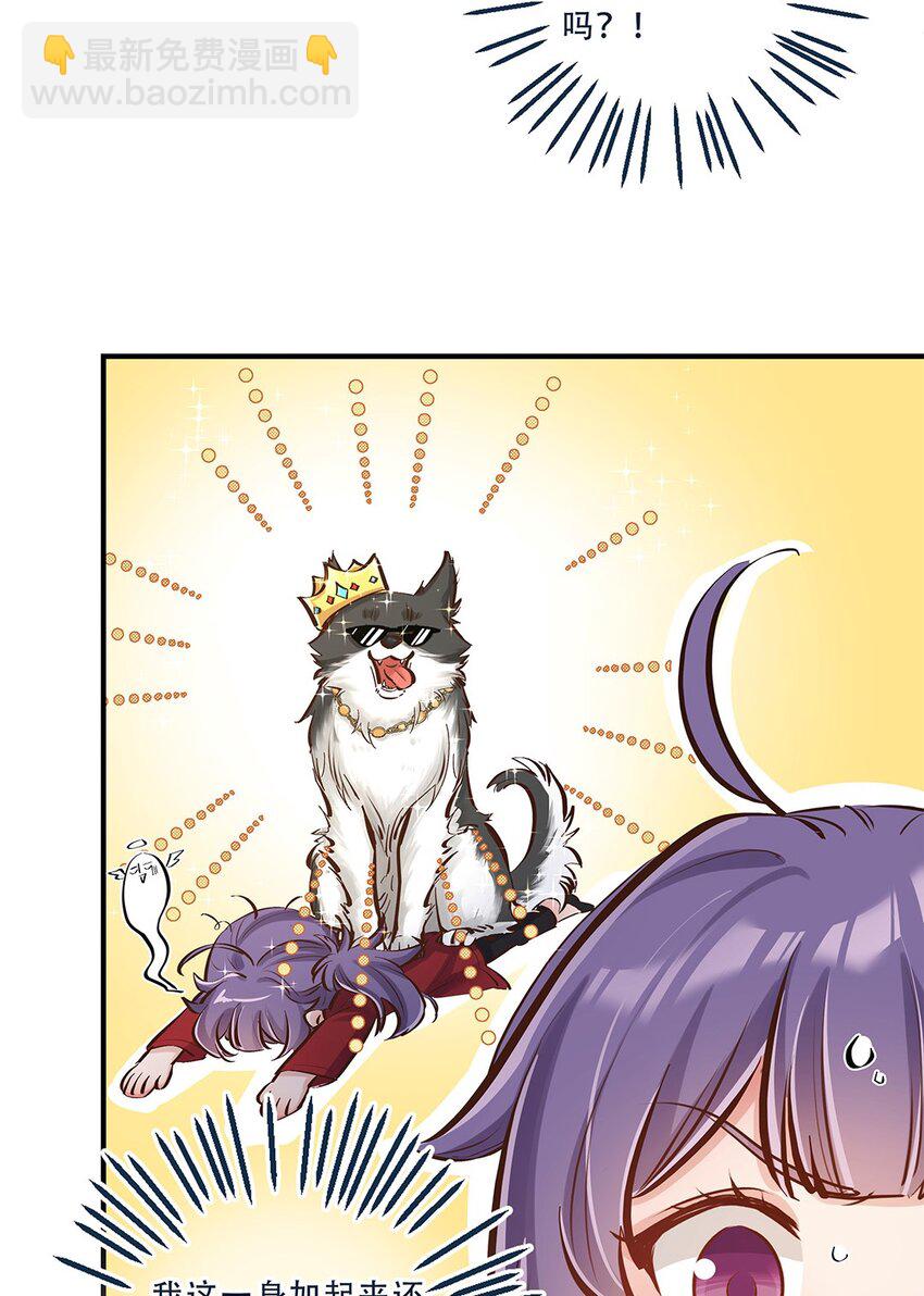 第12话 你的梦想是什么啊？-第13话