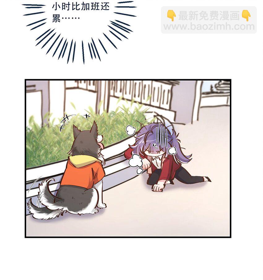 第12话 你的梦想是什么啊？-第13话