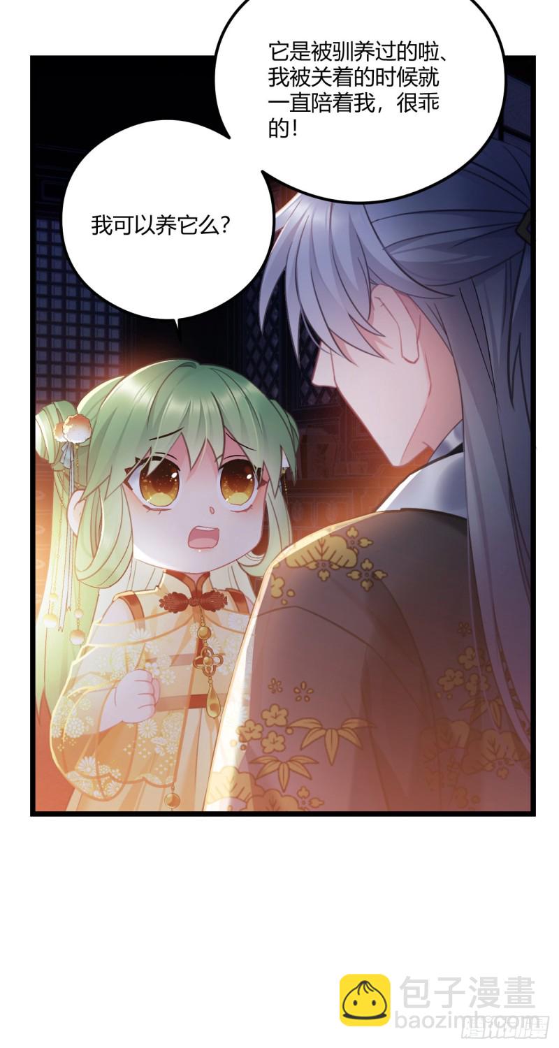 第62话 养蛇么-第63话