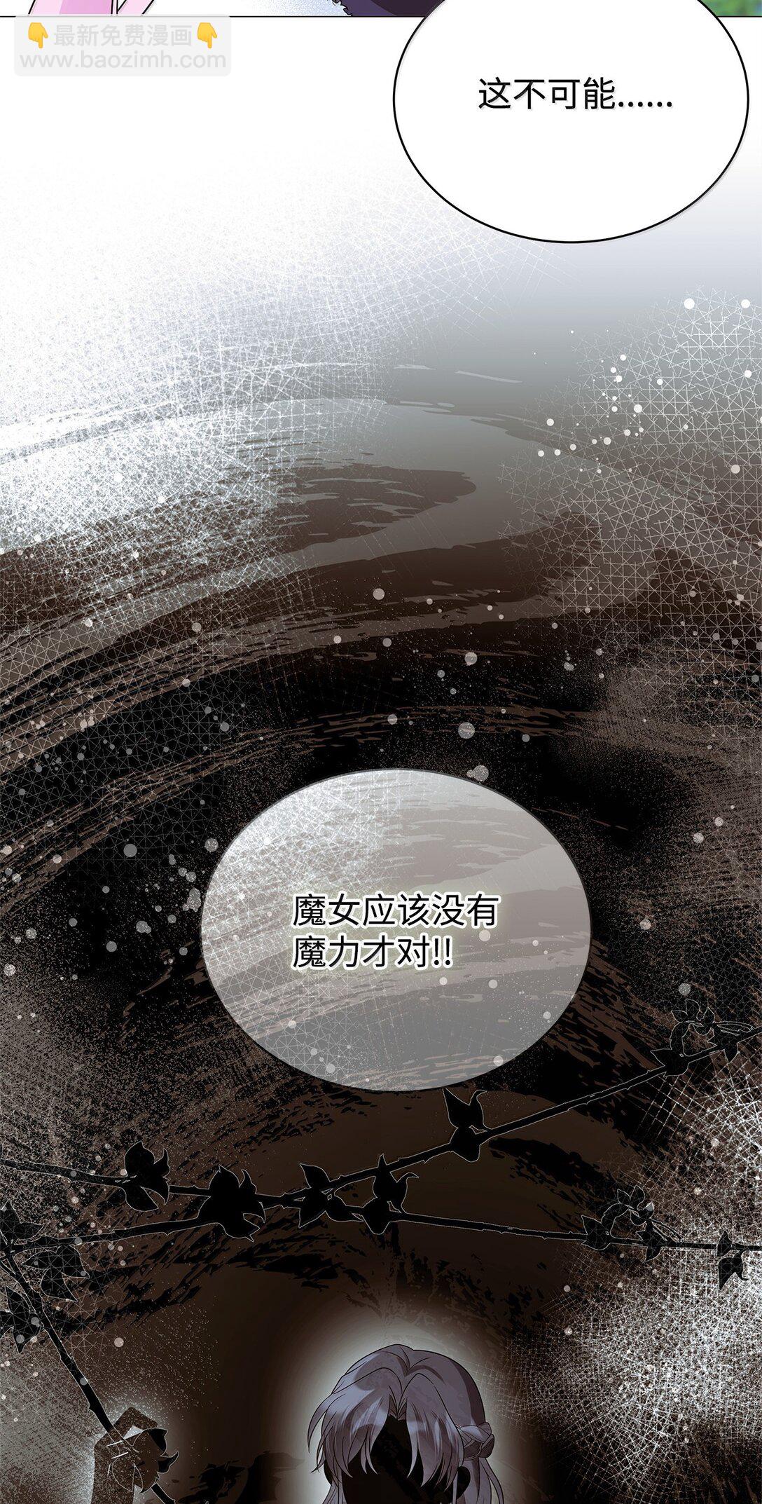 我成了暗黑系小說主人公的夫人 - 70 幻境(2/3) - 8