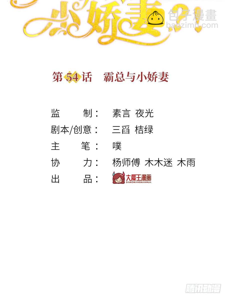 我成了反派大佬的小嬌妻？！ - 54.霸總與小嬌妻·第一季完結 - 2