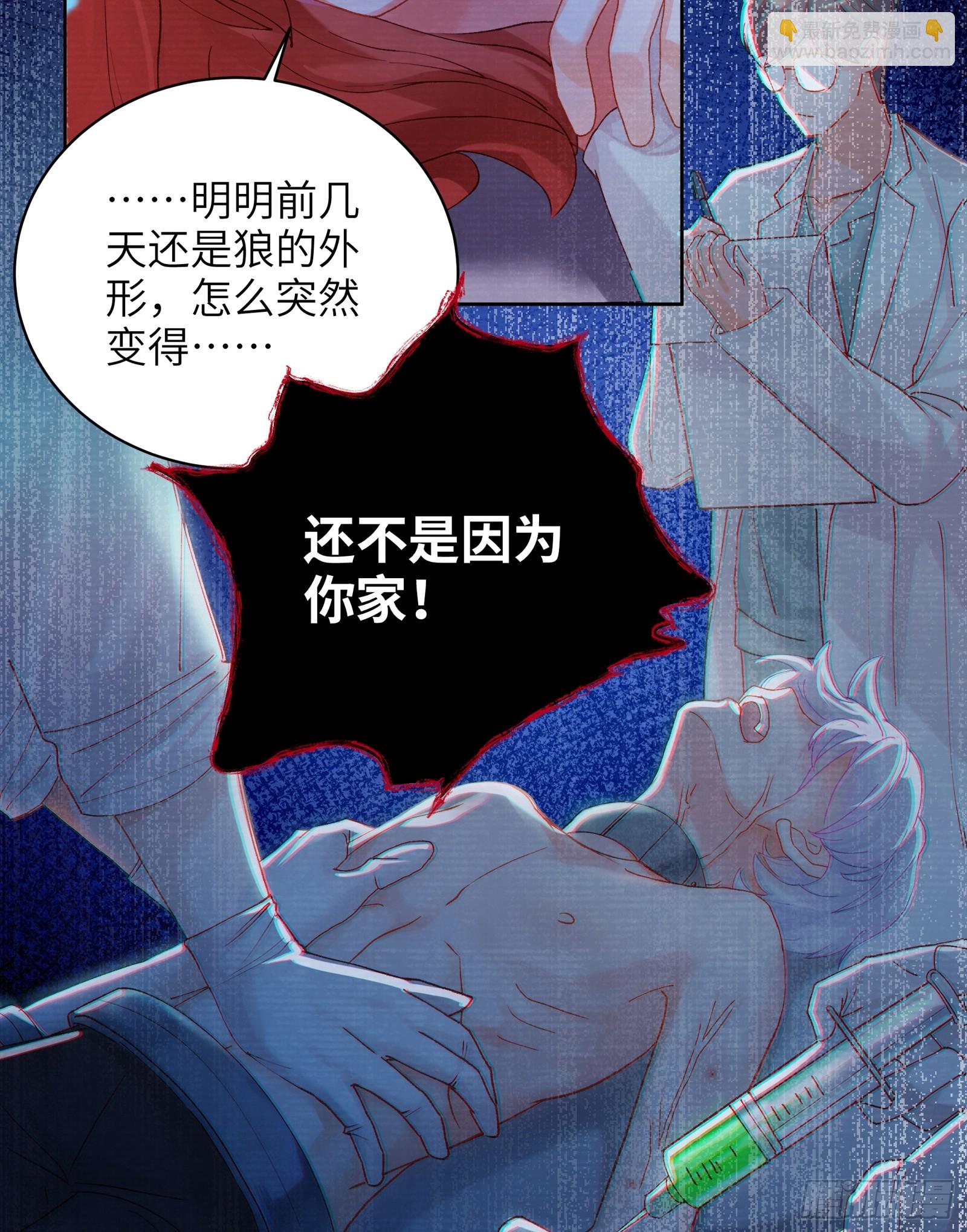 第15话  嗷呜&mdash;&mdash;白熊出击-第17话