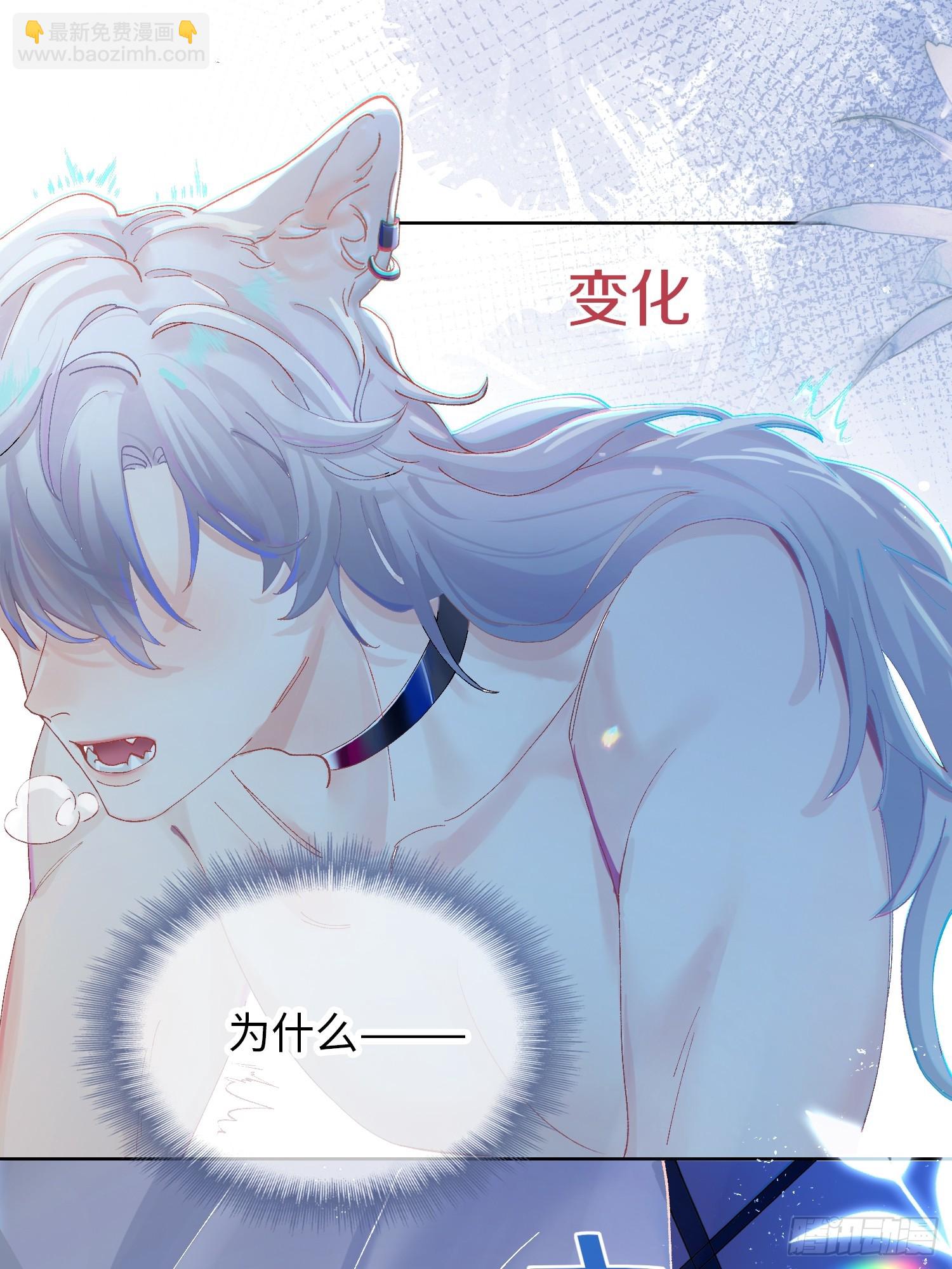 第1话 抖m男公关(1/2)-第3话