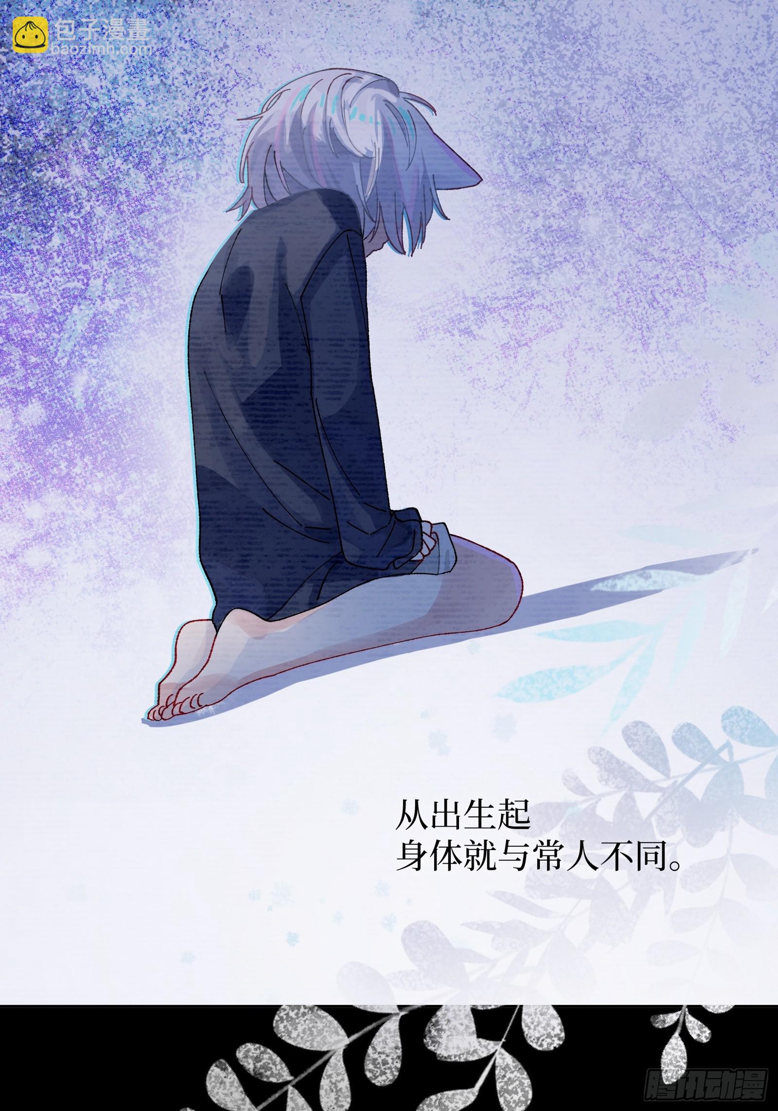 第4话 毛茸茸先生-第41话