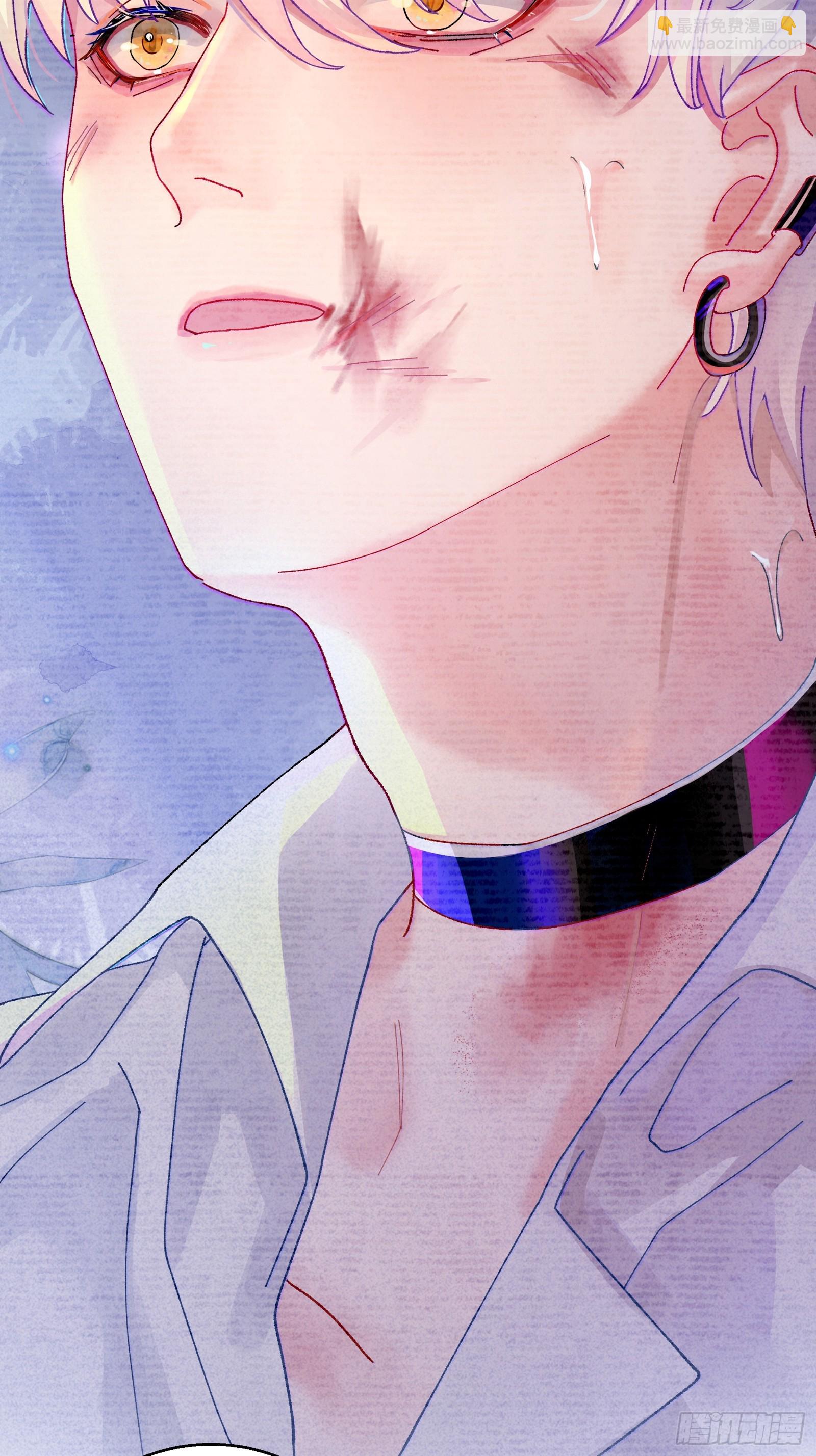 第4话 毛茸茸先生-第41话