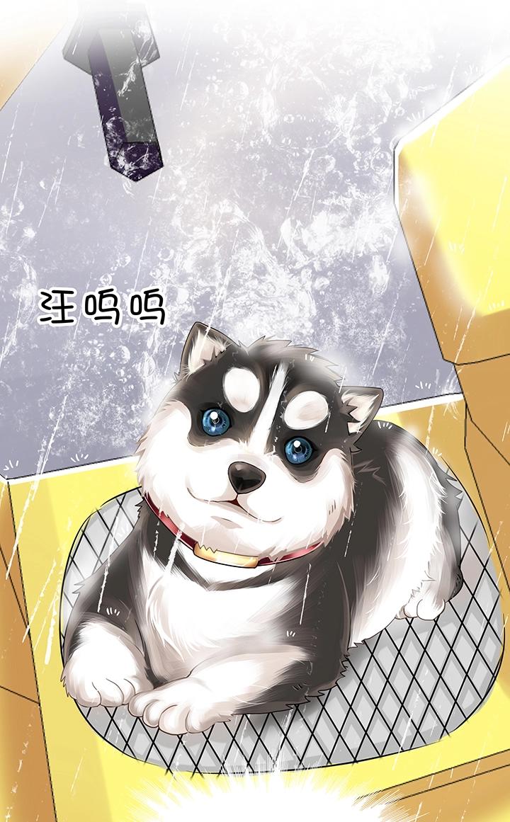 第011话 冤家路窄 下-第11话