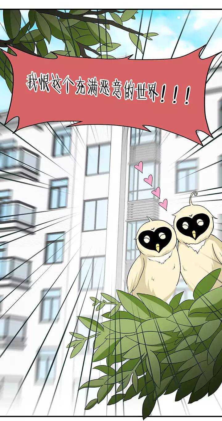 053 春季校运会来了！-第55话