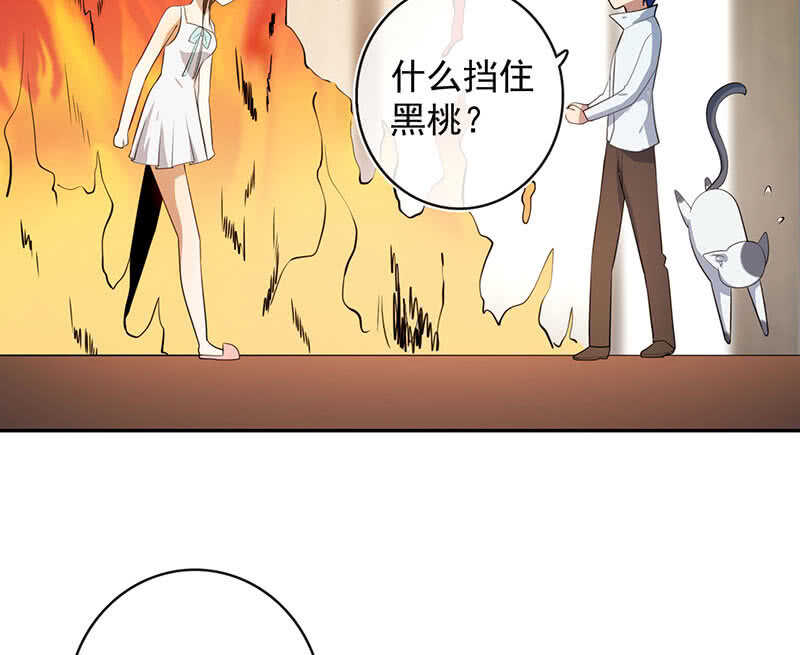 挡住黑桃(1/2)-第165话