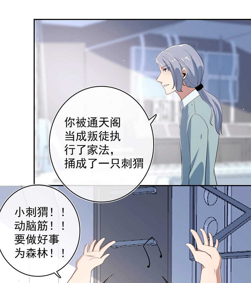 共同的敌人(1/2)-第169话