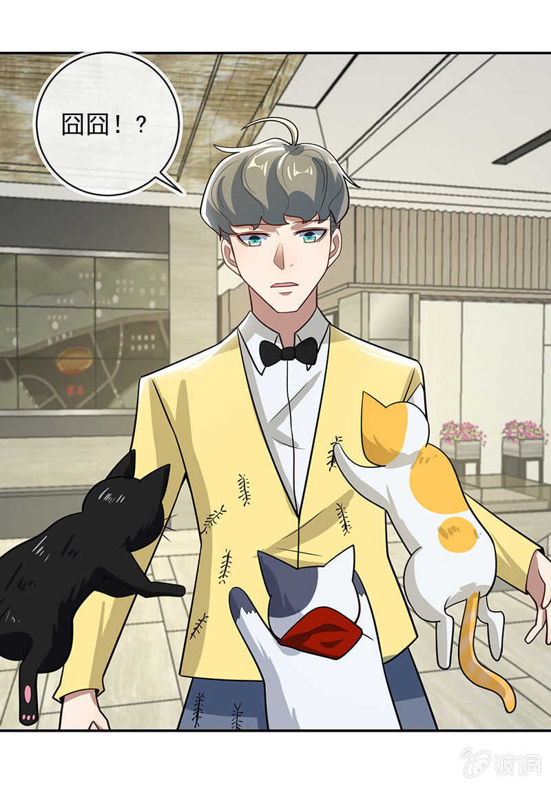 抓虫还是要靠猫-第233话