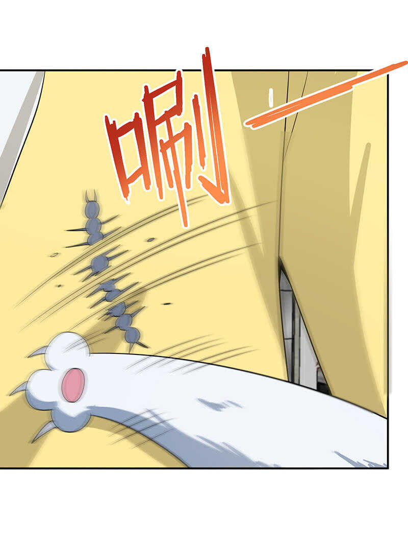 抓虫还是要靠猫-第233话