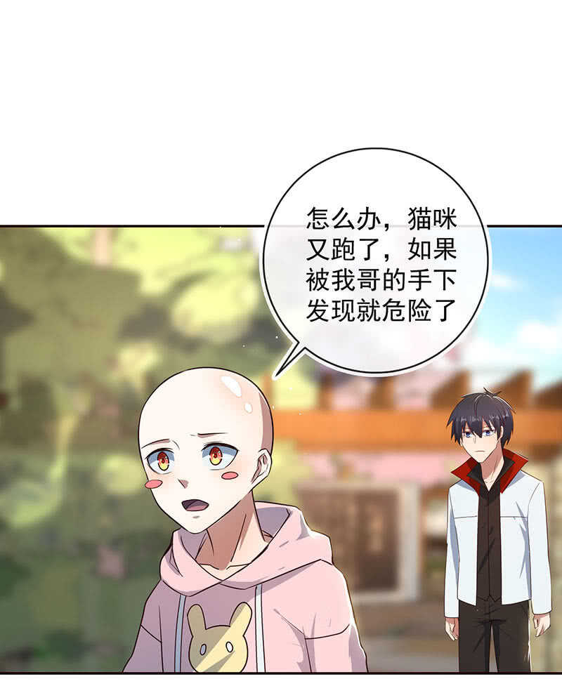 再见，婉婉-第85话