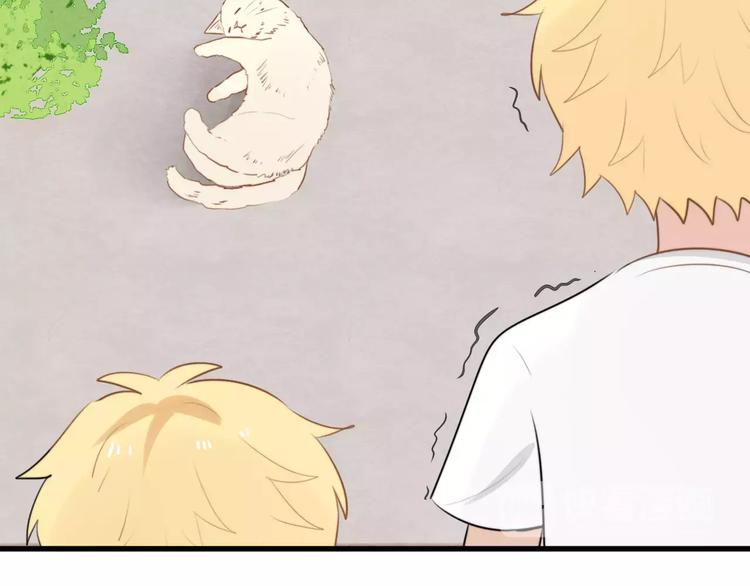 第15话 狮子宫长的过去（二）(1/2)-第15话