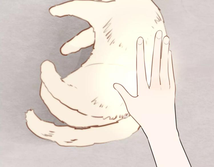 第15话 狮子宫长的过去（二）(1/2)-第15话