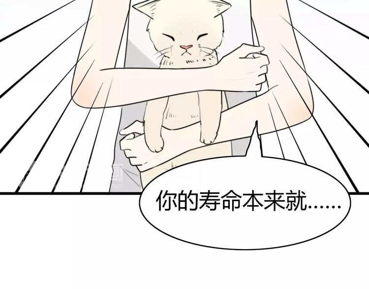 第15话 狮子宫长的过去（二）(1/2)-第15话