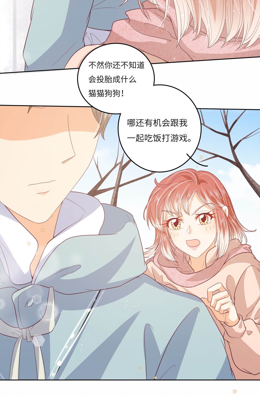 S2-17 别错过重要的人-第43话